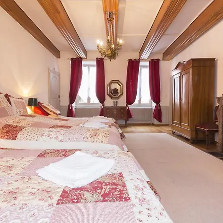 Traditional Loft & Studio קולמר
