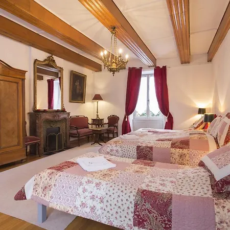 Traditional Loft & Studio * קולמר