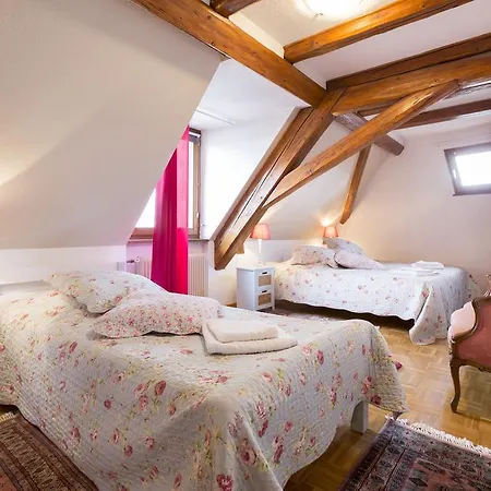 דירה Traditional Loft & Studio קולמר
