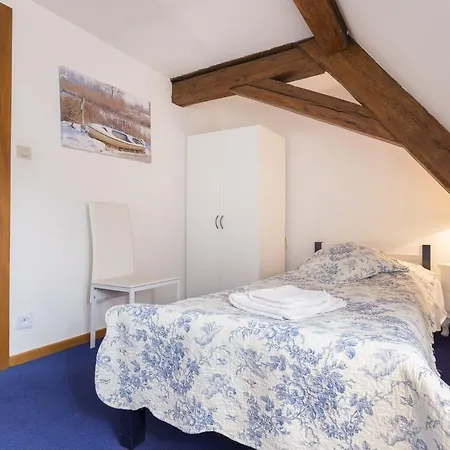 Traditional Loft & Studio קולמר
