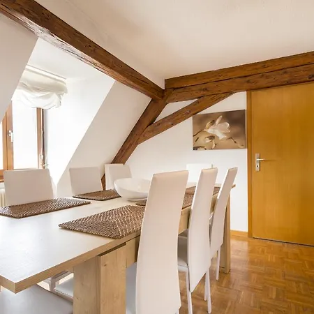 Traditional Loft & Studio קולמר