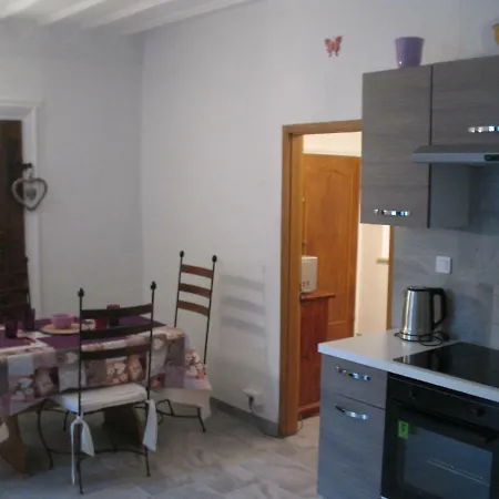 Traditional Loft & Studio קולמר